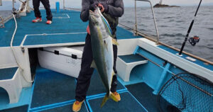 キャスティングで釣り上げたブリ