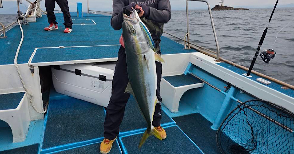 キャスティングで釣り上げたブリ